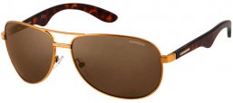 Sunglasses - Carrera - CARRERA 6006 - BWP (SP) ANTIQUE GOLD DARK HAVANA // BRONZE POLARIZED