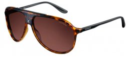 Gafas de Sol - Carrera - CARRERA 6015/S - N62 (8U) HAVANA // BROWN