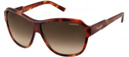 Sunglasses - Carrera - CARRERA 41 - WDR (SH) BLONDE HAVANA // BROWN GRADIENT