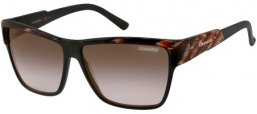 Sunglasses - Carrera - CARRERA 42 - 7J4 (ZU) HORN BROWN BLACK // BROWN GREY