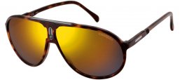 Sunglasses - Carrera - CHAMPION/AC - 086 (SQ) DARK HAVANA // MULTILAYER GOLD
