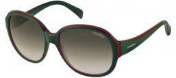 Sunglasses - Carrera - COLETTE - 26O (5M) GREEN RED // GREY AQUA GRADIENT
