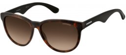 Sunglasses - Carrera - CARRERA 6004 - 4NC (HA) HAVANA BLACK // BROWN GRADIENT
