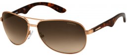 Sunglasses - Carrera - CARRERA 6006 - BWP (CC) ANTIQUE GOLD DARK HAVANA // BROWN GRADIENT