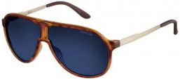 Sunglasses - Carrera - NEW CHAMPION - VR0 (KU)  LIGHT HAVANA GOLD // BLUE GREY