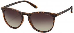 Lunettes de soleil - Polaroid - PLD 6003/N/S - V08 (LA) HAVANA // BROWN  GRADIENT POLARIZED