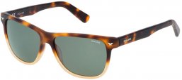 Sunglasses - Police - S1953 MASTER 3 - Z40M HAVANA // GREEN