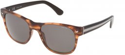 Gafas de Sol - Police - SPL164 STRIPE 1 - 09FM HAVANA // GREY GREEN