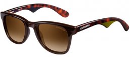 Sunglasses - Carrera - CARRERA 6000 - 2UW (DB) BROWN HAVANA GREEN // BROWN GREY GRADIENT