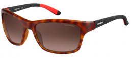 Lunettes de soleil - Carrera - CARRERA 8013/S - 6XV (LA) HAVANA BLACK // BROWN GRADIENT POLARIZED