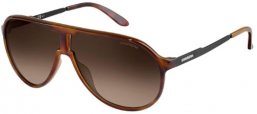 Sunglasses - Carrera - NEW CHAMPION - 8F8 (HA) HAVANA BLACK // BROWN GRADIENT