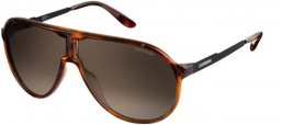Sunglasses - Carrera - NEW CHAMPION/L - 8F8 (HA) HAVANA BLACK // BROWN GRADIENT