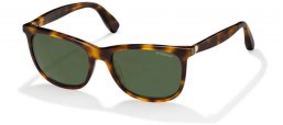 Sunglasses - Polaroid Premium - PLP 0103 - BGJ (0P) HAVANA // GREEN ANTIRREFLECTION POLARIZED