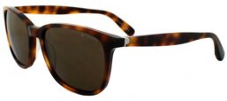 Sunglasses - Polaroid Premium - PLP 0104 - 91E (2P) BLACK // BROWN POLARIZED