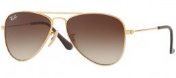 Frames Junior - Ray-Ban® Junior Collection - RJ9506S - 223/13 GOLD // BROWN GRADIENT